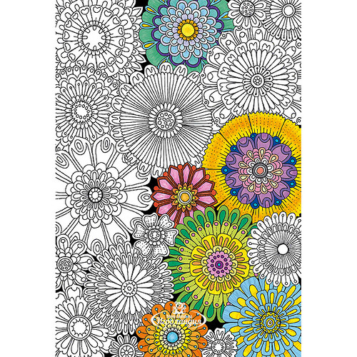 Пазл-раскраска Цветы, 300 элементов Educa