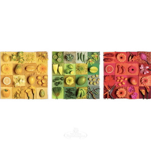Набор пазлов Три цвета - Андреа Тилк, 3*500 элементов Educa