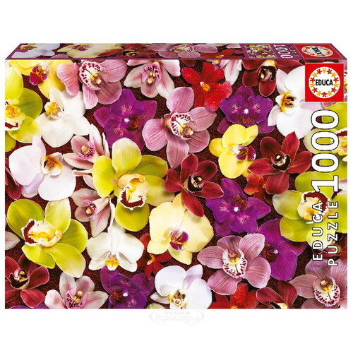 Пазл Коллаж из орхидей, 1000 элементов Educa