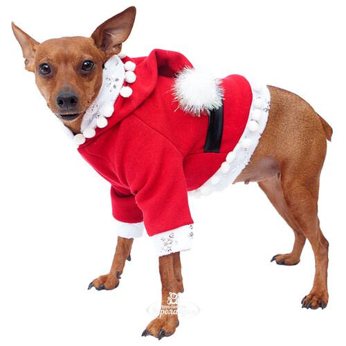 Одежда для собак Санта, размер L (для небольших) Батик