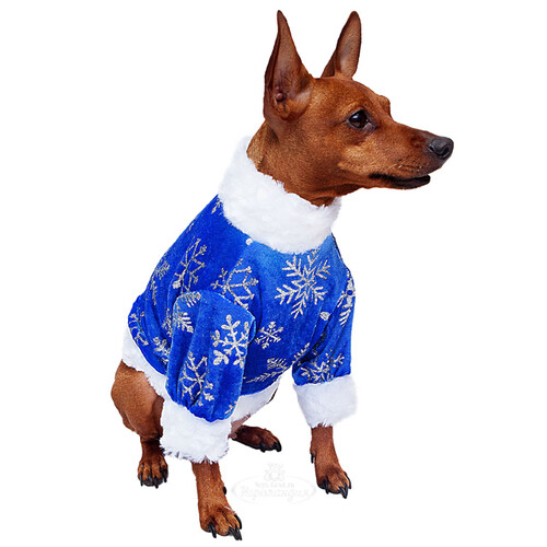 Одежда для собак Морозик, размер M (для маленьких) Батик