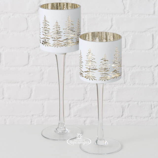 Набор стеклянных подсвечников - бокалов Coventry 25-30 см, 2 шт Boltze