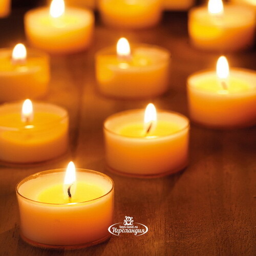 Ароматические свечи Сладкая ваниль, 4*2 см, 18 шт Kaemingk