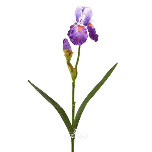 Искусственный цветок Ирис - Viola de Mar 75 см EDG