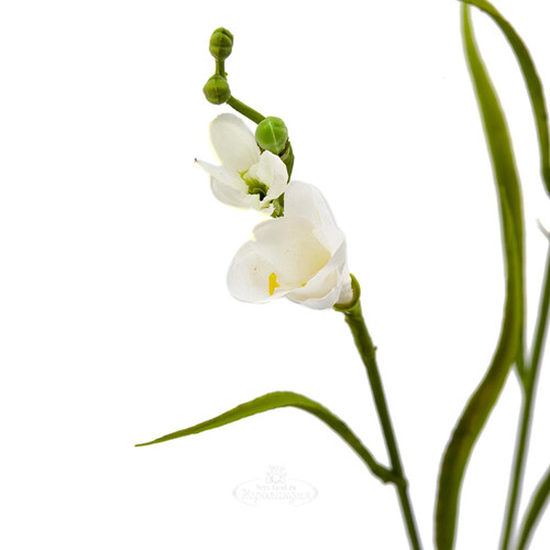 Искуcственный цветок Фрезия - Apollo 65 см EDG