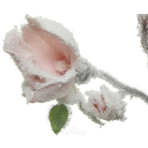 Искусственная магнолия Лилифлора Снежная 50 см, нежно-розовая Kaemingk