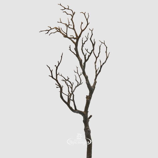 Искусственная ветка Branche Noire 69 см черная EDG