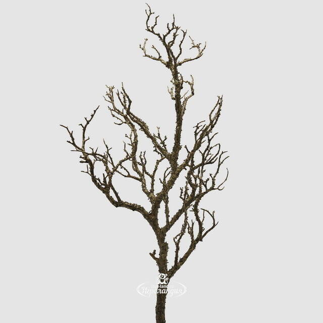 Искусственная ветка Branche Molte 81 см EDG