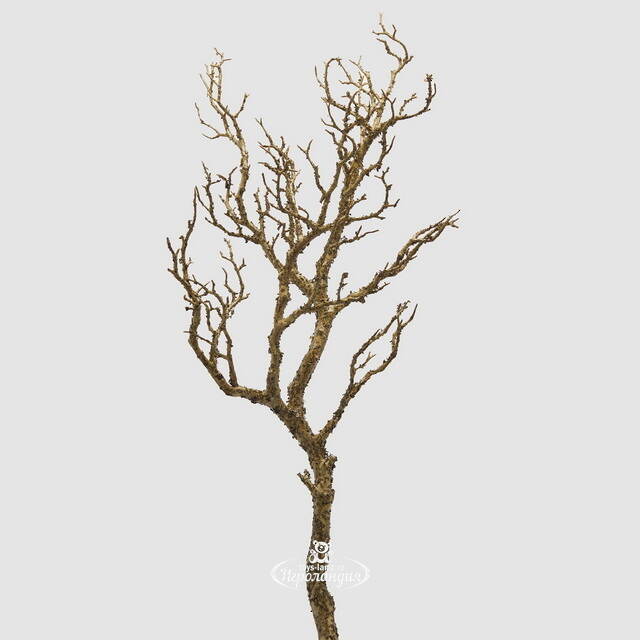 Искусственная ветка Branche Molte 91 см EDG