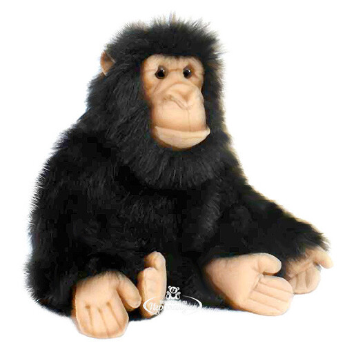 Мягкая игрушка Шимпанзе 25 см Hansa Creation