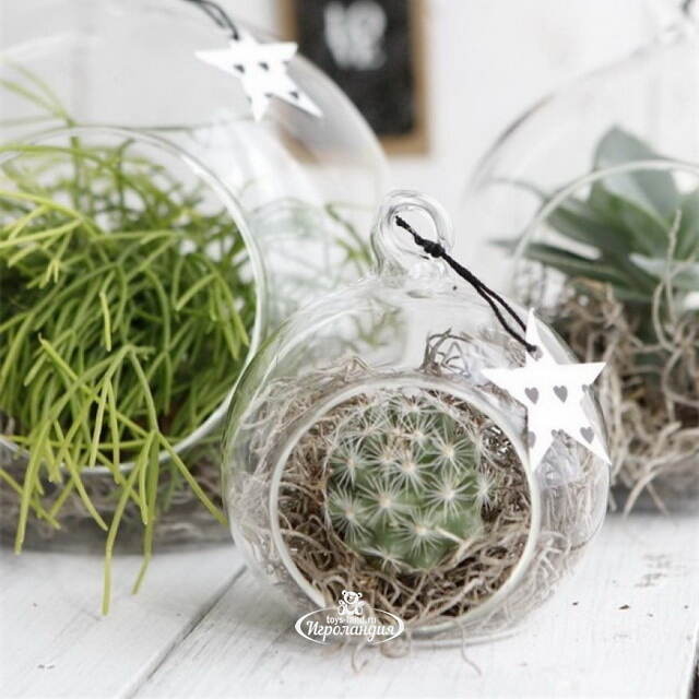 Стеклянный подсвечник Merona 10 см Ideas4Seasons