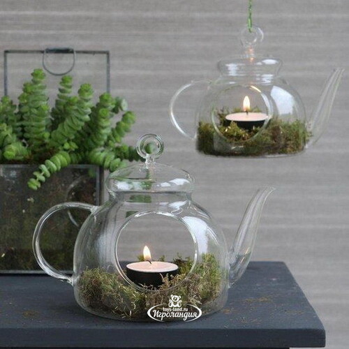 Декоративный флорариум Чайник The Lumiere 14 см, стекло Ideas4Seasons