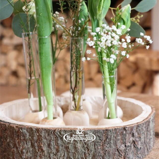 Стеклянная колба для цветов Therios на подставке 15 см Ideas4Seasons