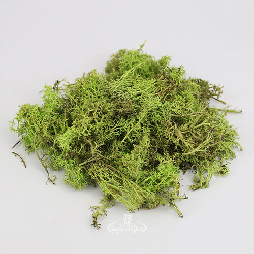 Декоративный мох светло-зеленый, 50 г Hogewoning