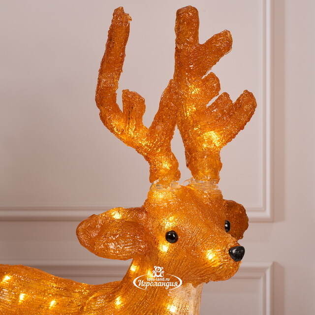 Светодиодный олень Норман 63 см, 80 теплых белых LED ламп, акрил, IP44 Winter Deco