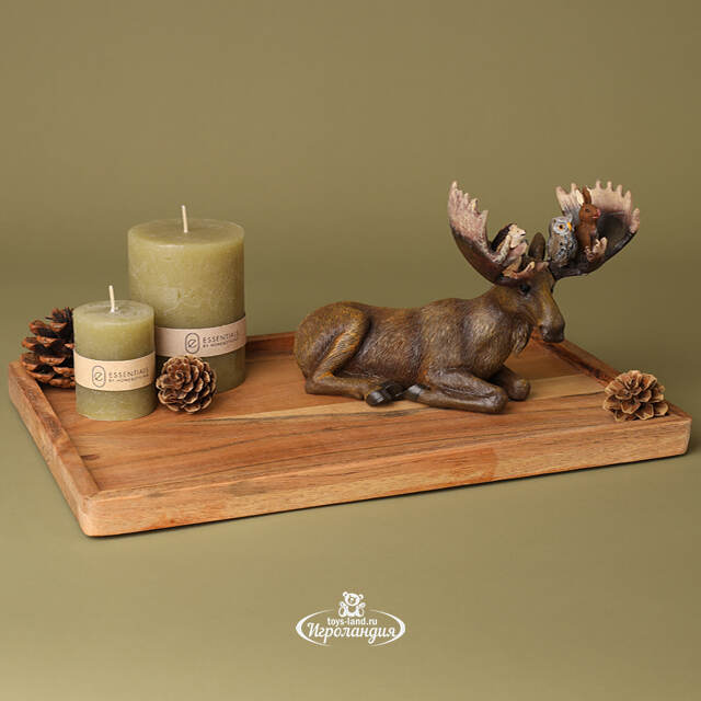 Деревянный поднос Acacia 30*20 см Koopman