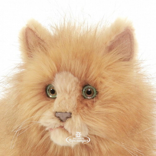 Мягкая игрушка Кошка рыжая 27 см купить в интернет-магазине Игроландия  toys-land.ru, 4223, цена: 4374 ₽