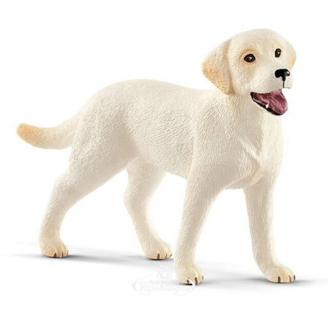 Набор фигурок Мальчик на прогулке с лабрадором Schleich (Шляйх)