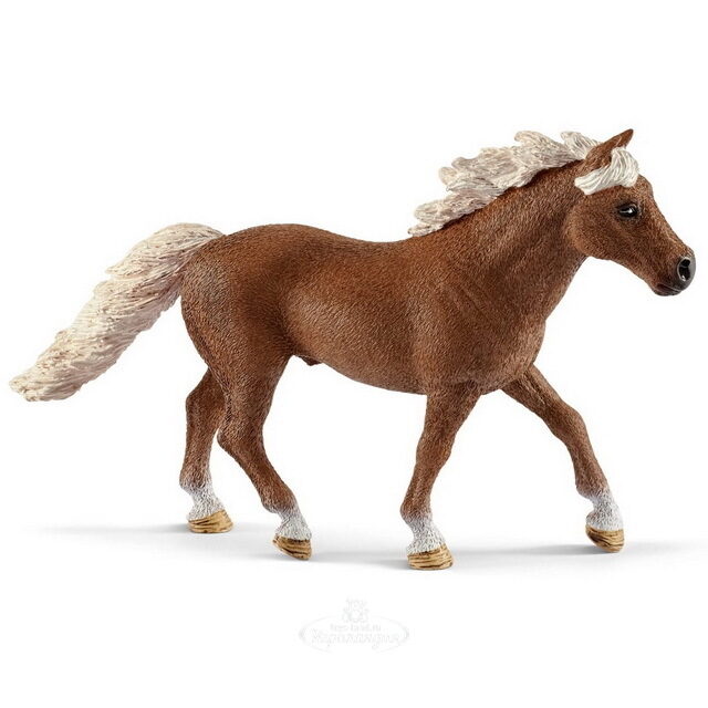 Игровой набор Спортивная тренировка для пони с аксессуарами Schleich