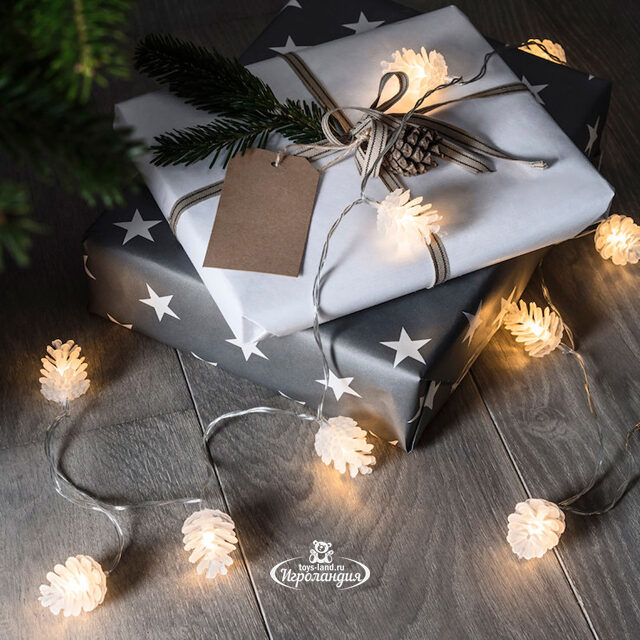 Гирлянда Шишки 24 теплых белых LED ламп 4.6 м, прозрачный ПВХ, контроллер, IP44 Kaemingk