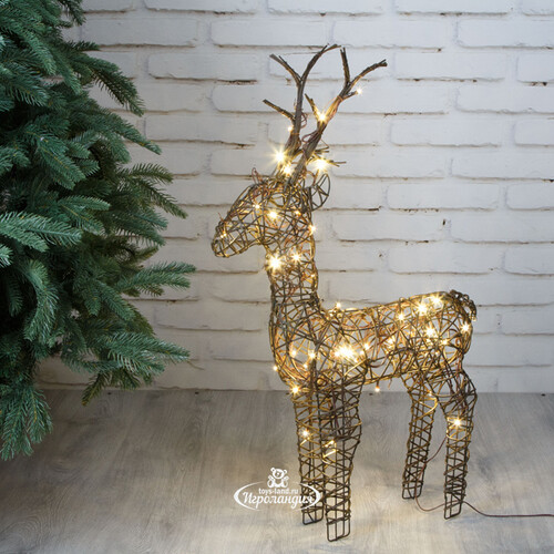 Светящийся олень Rottweil Deer 69 см, 48 теплых белых LED ламп, IP44 Kaemingk