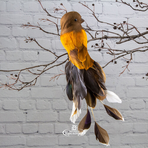 Декоративное украшение Колумбийская Птица Чезаре 25 см, клипса ShiShi