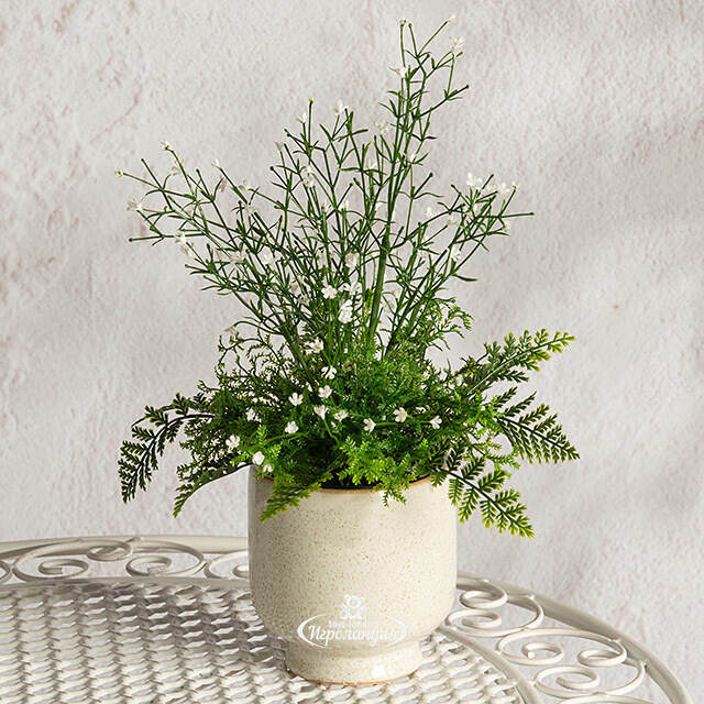 Искусственный цветок в горшке Аспарагус 28 см Summer Deco