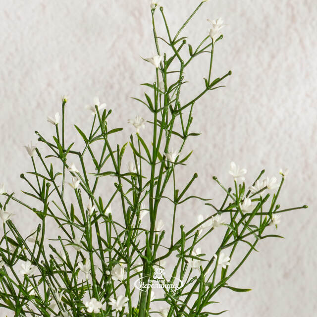 Искусственный цветок в горшке Аспарагус 28 см Summer Deco