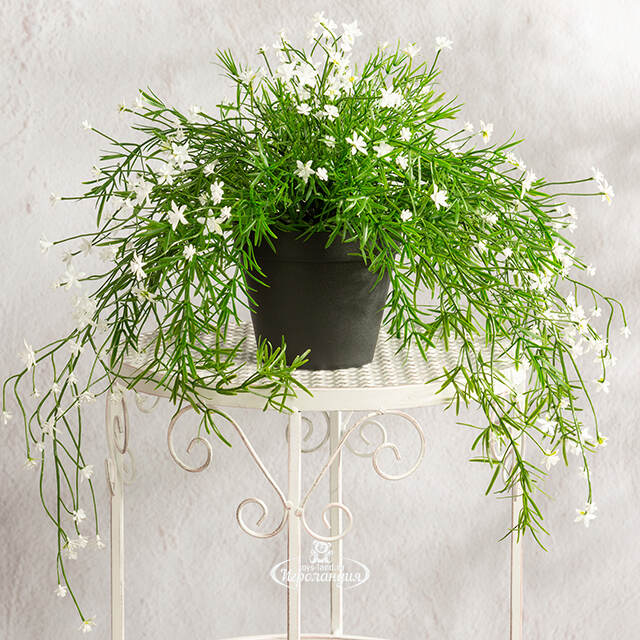 Искусственный подвесной куст Midleton Stone 43 см, белый Summer Deco