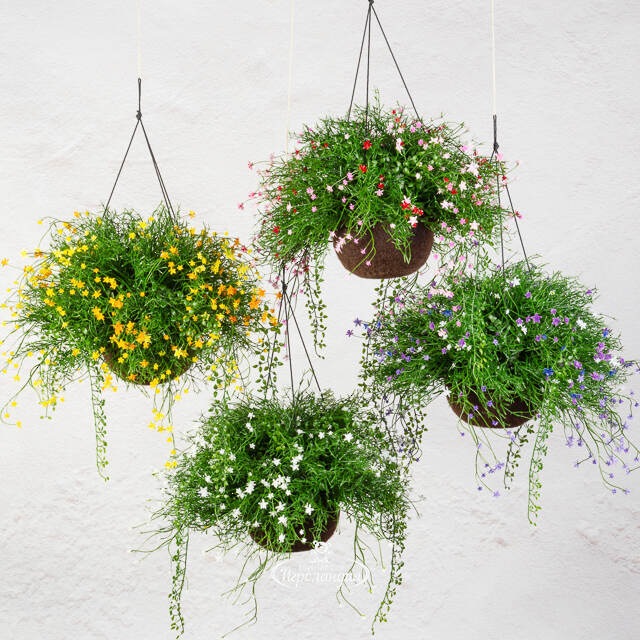 Искусственный цветок в кашпо Matera - Магический Сад 43 см Summer Deco