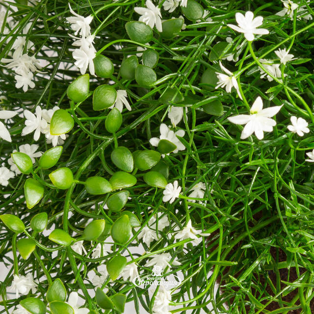 Искусственный цветок в кашпо Matera - Магический Сад 43 см Summer Deco