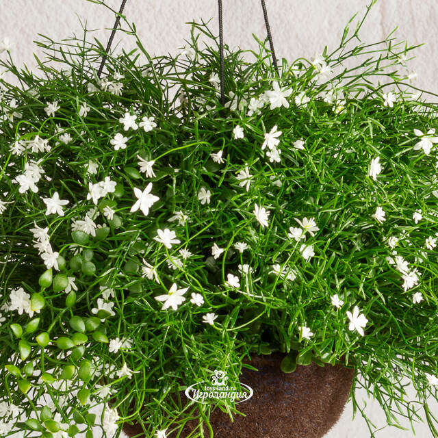 Искусственный цветок в кашпо Matera - Магический Сад 43 см Summer Deco