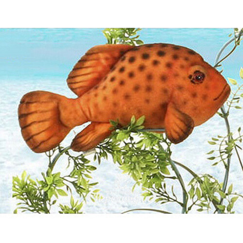 Мягкая игрушка Тропическая рыба 30 см Hansa Creation