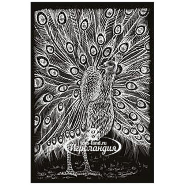 Картина-гравюра большая Павлин, 20*27 см Забавка
