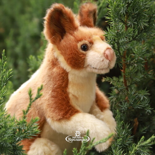 Мягкая игрушка Древесный кенгуру 23 см Hansa Creation