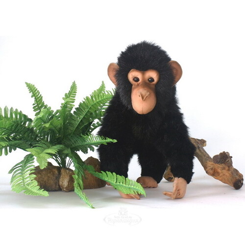 Мягкая игрушка Шимпанзе 30 см Hansa Creation