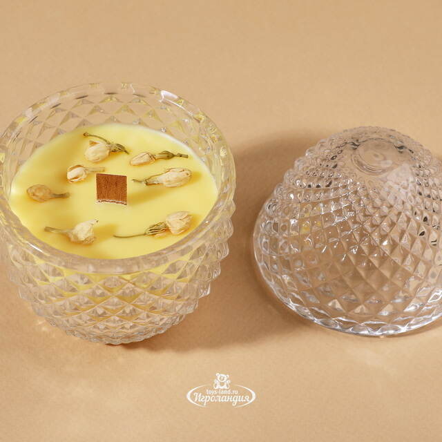 Ароматическая свеча Flora - Ginger&Warm Vanilla 12 см, 20 часов горения EDG