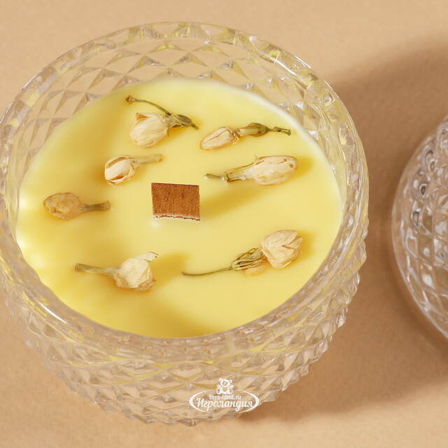 Ароматическая свеча Flora - Ginger&Warm Vanilla 12 см, 20 часов горения EDG