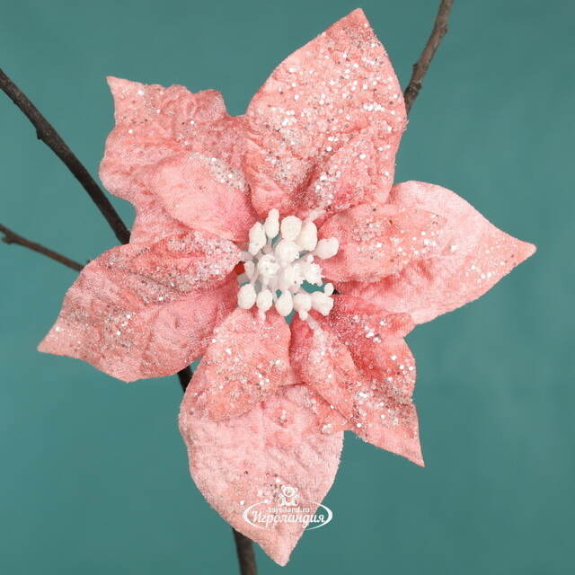 Пуансеттия Viento Rosa 16 см, клипса Kaemingk