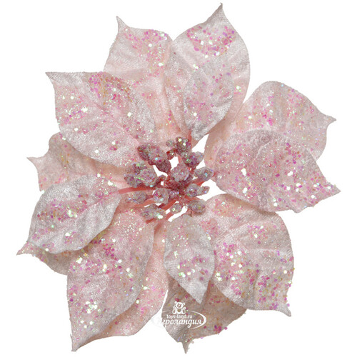 Пуансеттия Принцесса Де-Флер 16 см розовая, клипса Kaemingk