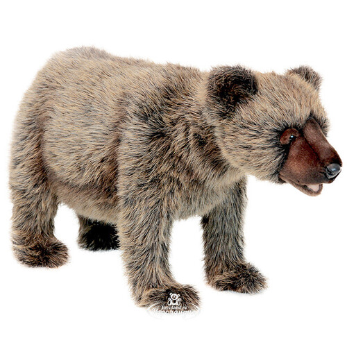 Мягкая игрушка Медведь Гризли идущий 60 см Hansa Creation