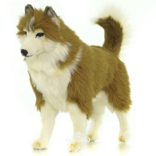 Мягкая игрушка собака Хаски коричневая 50 см Hansa Creation