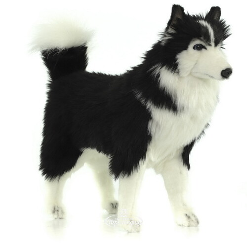 Мягкая игрушка Собака Хаски черно-белая 56 см Hansa Creation