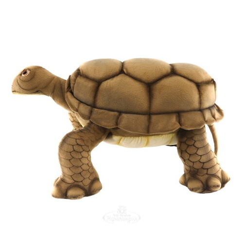 Большая мягкая игрушка Галапагосская черепаха 70 см Hansa Creation