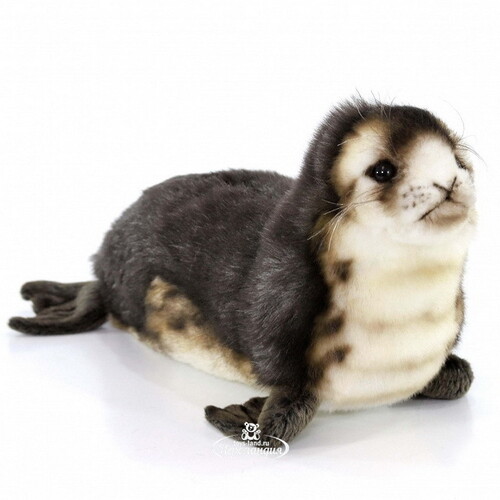 Мягкая игрушка Детеныш тюленя-монаха 30 см Hansa Creation