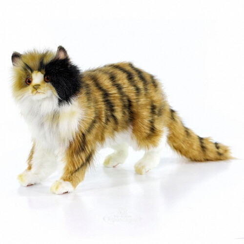 Мягкая игрушка Кошка Бетти 62 см купить в интернет-магазине Игроландия  toys-land.ru, 6966, цена: 5871 ₽