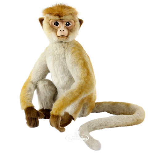 Мягкая игрушка Шри-Ланкийская обезьяна 33 см Hansa Creation