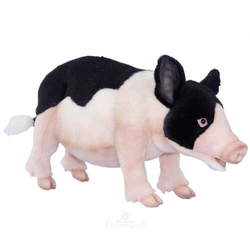 Мягкая игрушка Вьетнамская вислобрюхая свинья 45 см Hansa Creation