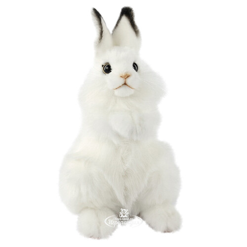 Мягкая игрушка Белый кролик 24 см Hansa Creation