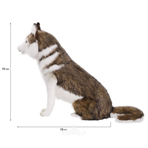 Большая мягкая игрушка Собака сибирский хаски 78 см Hansa Creation